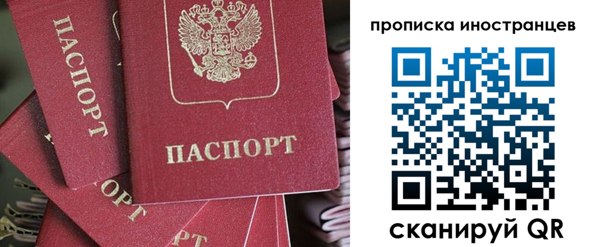 временная прописка в Сертолово